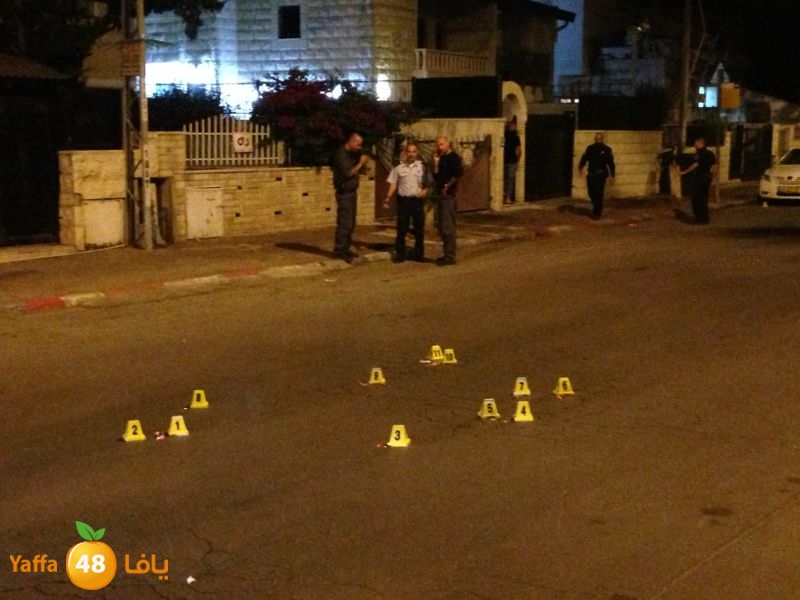 fireludmidnight530 (1).jpg